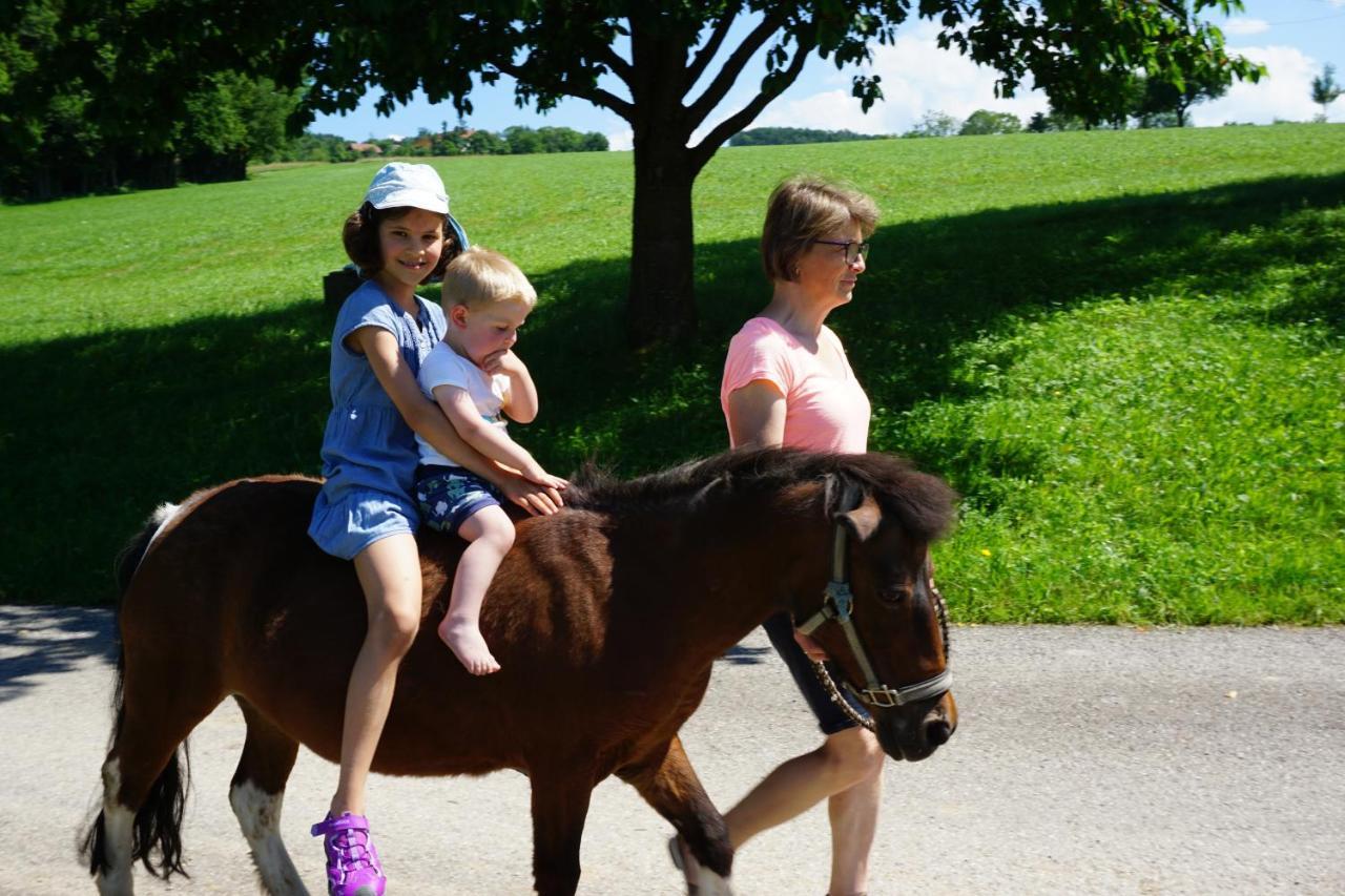 Kinderbauernhof Salmanner Steinbach an der Steyr Zewnętrze zdjęcie