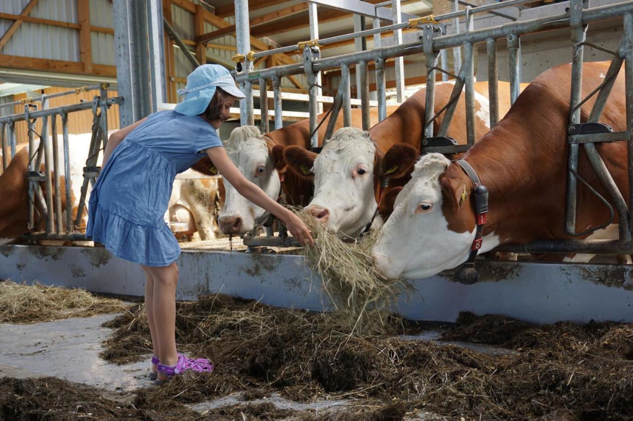 Kinderbauernhof Salmanner Steinbach an der Steyr Zewnętrze zdjęcie