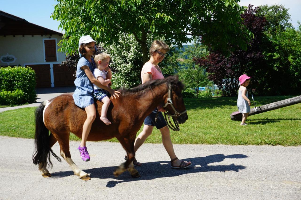 Kinderbauernhof Salmanner Steinbach an der Steyr Zewnętrze zdjęcie