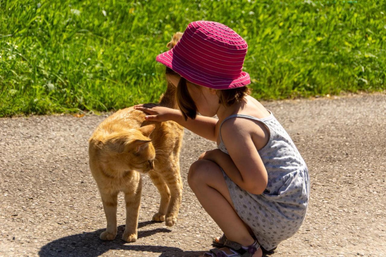 Kinderbauernhof Salmanner Steinbach an der Steyr Zewnętrze zdjęcie