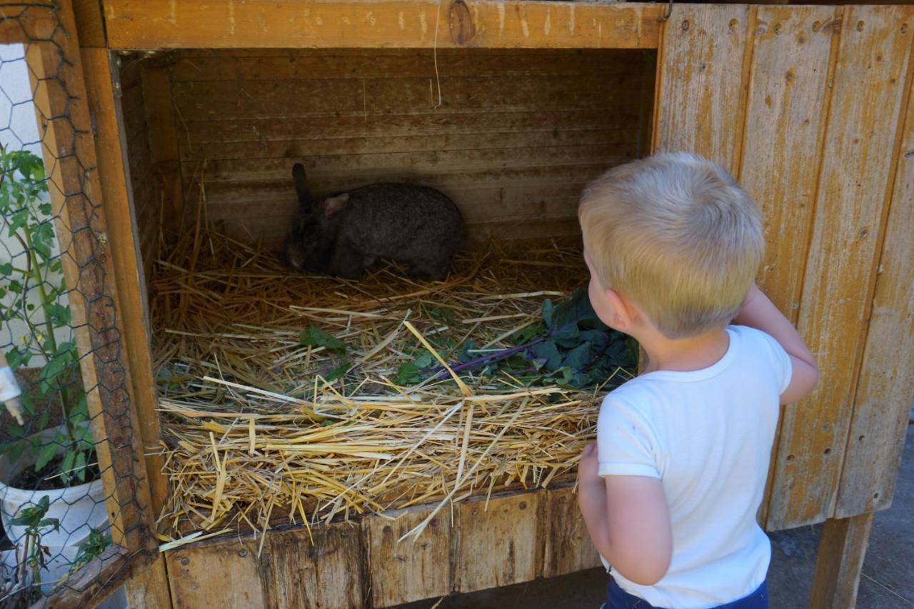Kinderbauernhof Salmanner Steinbach an der Steyr Zewnętrze zdjęcie