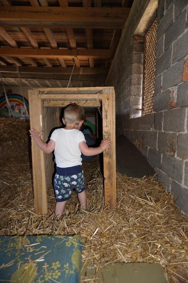 Kinderbauernhof Salmanner Steinbach an der Steyr Zewnętrze zdjęcie