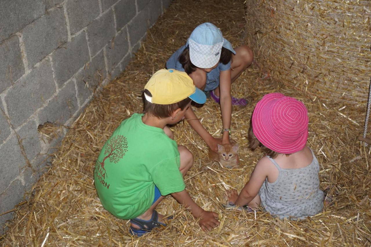 Kinderbauernhof Salmanner Steinbach an der Steyr Zewnętrze zdjęcie