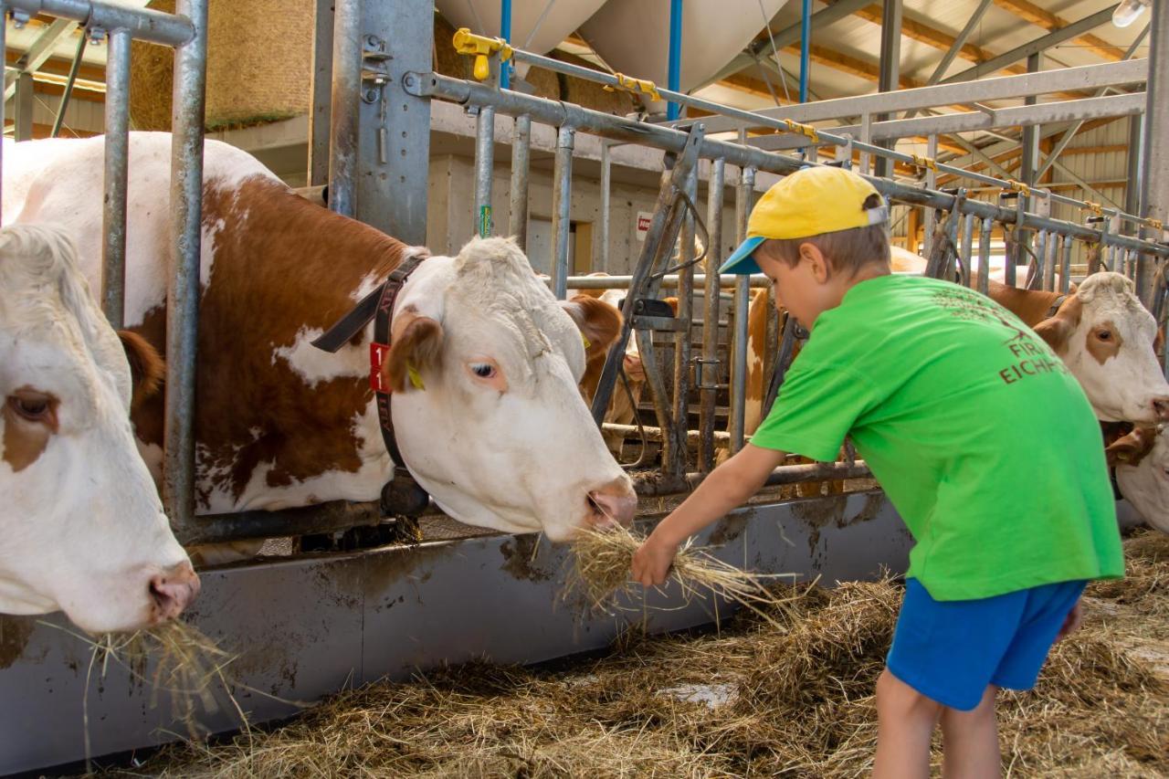 Kinderbauernhof Salmanner Steinbach an der Steyr Zewnętrze zdjęcie