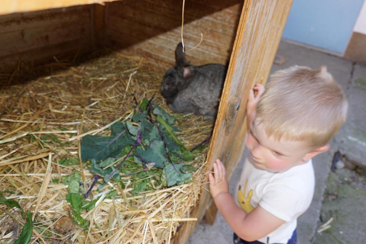 Kinderbauernhof Salmanner Steinbach an der Steyr Zewnętrze zdjęcie