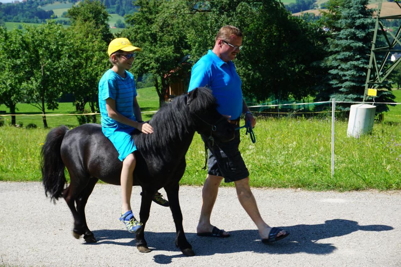 Kinderbauernhof Salmanner Steinbach an der Steyr Zewnętrze zdjęcie