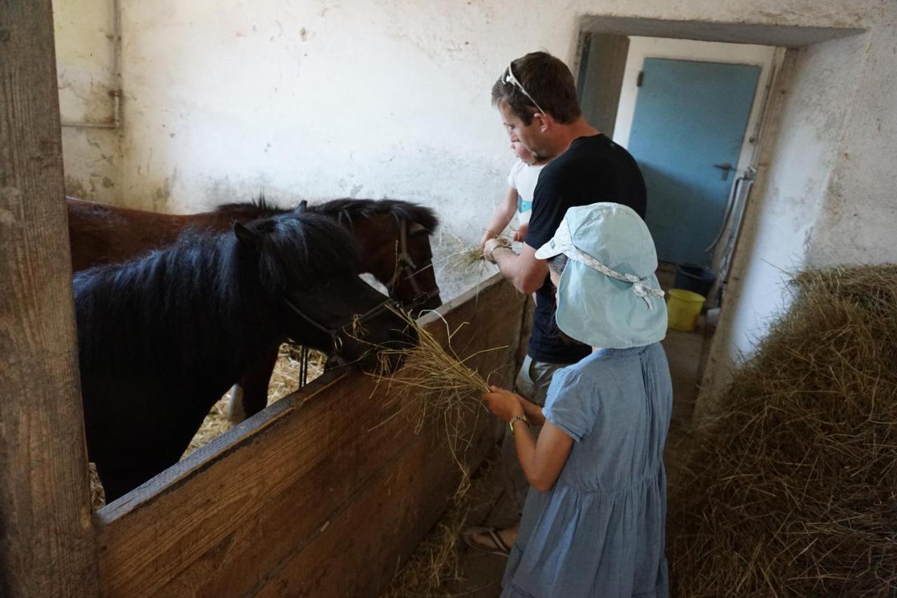 Kinderbauernhof Salmanner Steinbach an der Steyr Zewnętrze zdjęcie
