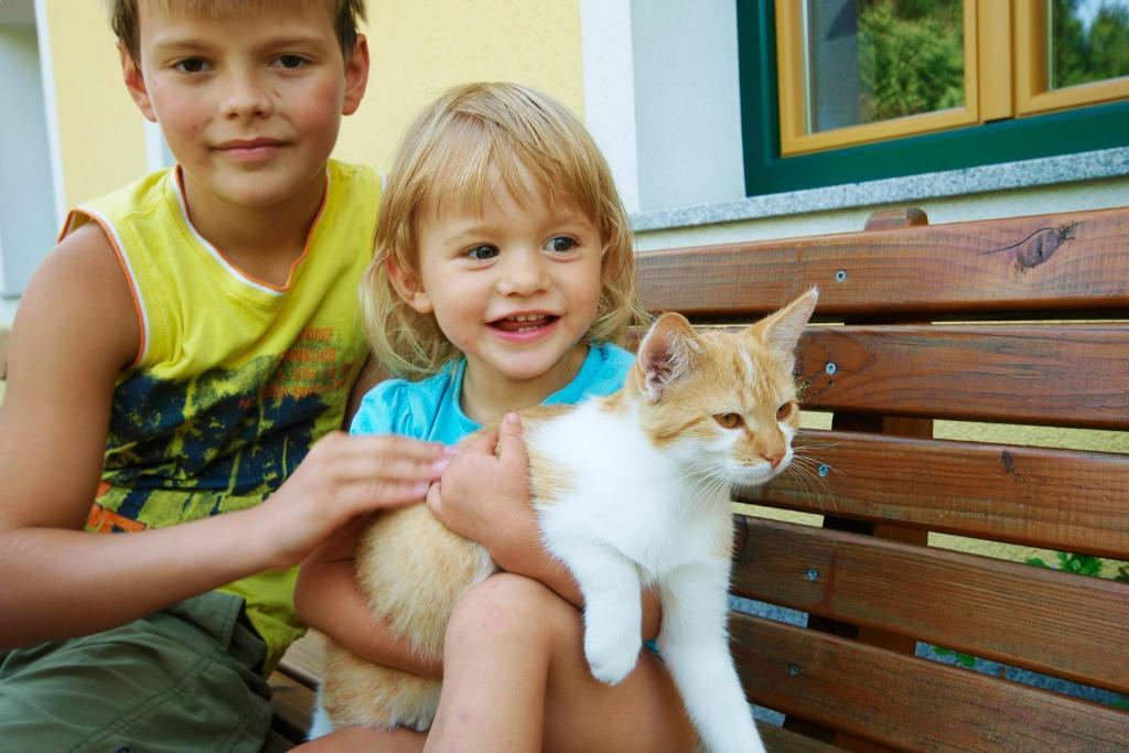 Kinderbauernhof Salmanner Steinbach an der Steyr Zewnętrze zdjęcie