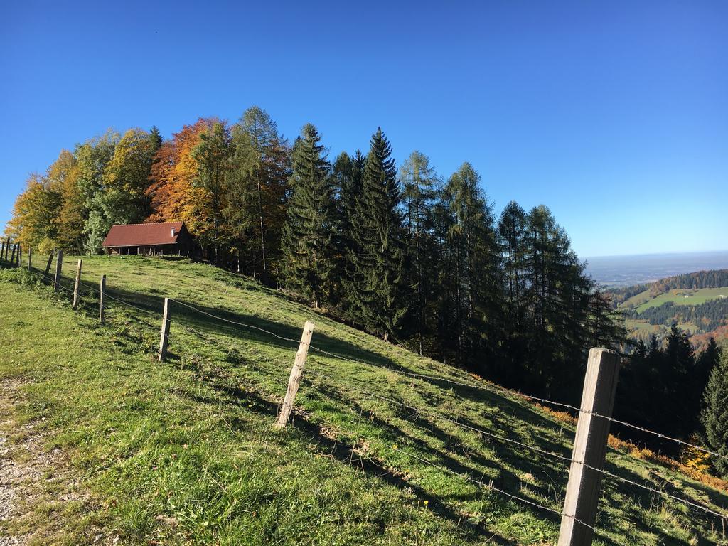 Kinderbauernhof Salmanner Steinbach an der Steyr Zewnętrze zdjęcie